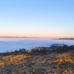 Flores da Serra Gastronomia e Turismo Rural