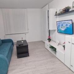 Claudiu Blue apartament's 9