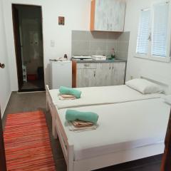 M6 olive tree studio