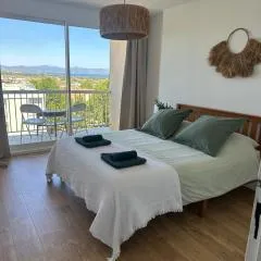 Perle Rare vue Mer et marais salants sur Giens à Hyeres