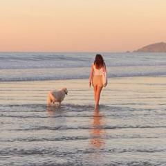 Welooveyou Blue Collection