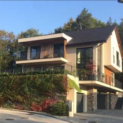 Villa close to Ljubljana - city and mountain hiking hub
