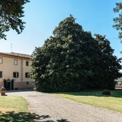 Villa del 700 Gli Affreschi di Tiziana