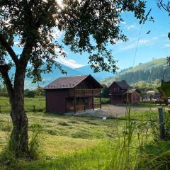 Carpathian House