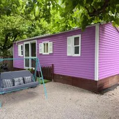 Lila House