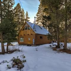 Augies Authentic Log Cabin Pets Welcome