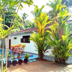 The Comfortable Coconut House