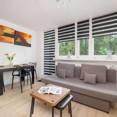 Piastów Comfy Apartment with Balcony & Home office in Katowice by Noclegi Renters