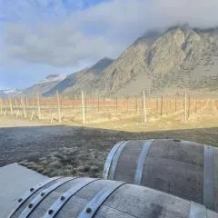 Vineyard Home Casa De Herrera