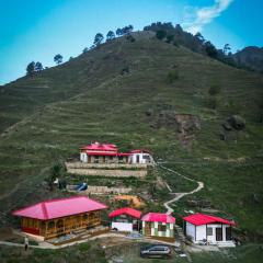 Jungle Woods Homestay