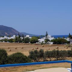 HORIZON-Amazing location, Sea&Nature View, 2BR,Large Balcony
