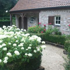 La Cuesta in the forest