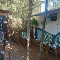 Treiler experiência na floresta
