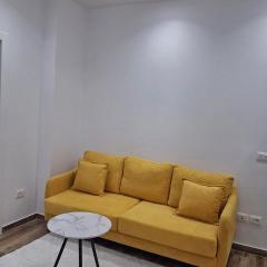 Tirana Grey Loft 2025