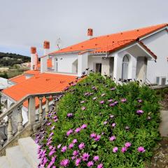 Apartment Vidas