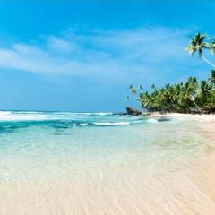 Roman Residence - Unawatuna