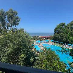Dreamland Oasis wellness Resort