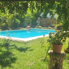 Cocon Paradisiaque - Villa avec Piscine et Hammam à Alger