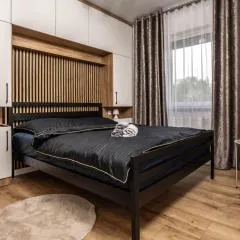 Modern Nest