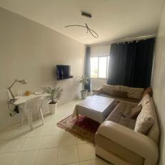 Modern 2BR Apt RDC Fast Wi-Fi