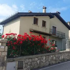 A due passi dai lupi