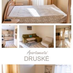 Neringarent DRUSKĖ - 2-jų miegamųjų su atskiru įėjimu