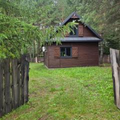 Górecko Kościelne- Domek w Lesie