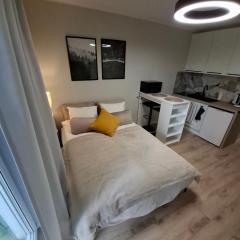 Apartments Poznań City lux