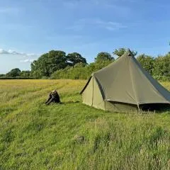 WithamCamp