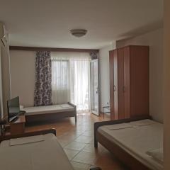 Apartment Aleksic Becici