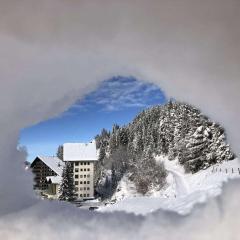 1-bedroom holiday apartment