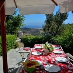 Exquisite estate, serene environment