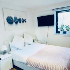 Cosy Room in Heart of Edinburgh