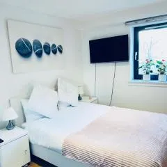 Cosy Room in Heart of Edinburgh