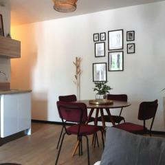 T2 cosy - gare, plage et intramuros à pied