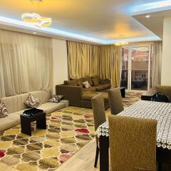 Premium 3 Bedroom Apartment Stylish Interiors and Three Bathrooms