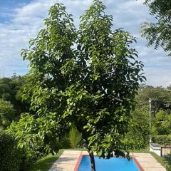 Casa quinta con psicina