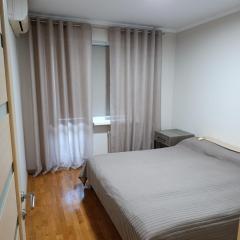 Сучасний комфорт та затишок Південне, Южне