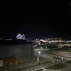 однокомнатные апартаменты с видом на Expo