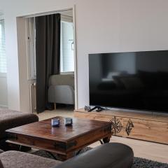 Comfort City Apartment