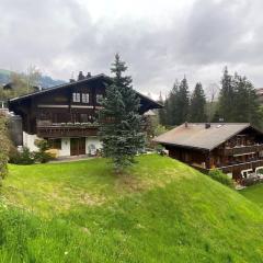 Amazing Villa in Gstaad