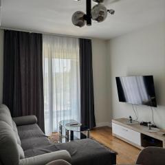 Apartman Milica