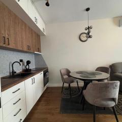 Apartman Milica