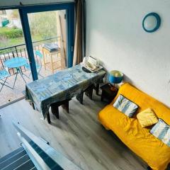 Beautiful apartment at 100m from the beach