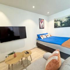 Chic and Modern Studio - Central