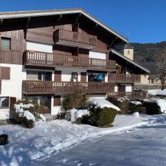 Appt de montagne Araches
