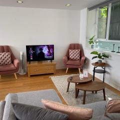 Chic 3 Bedroom flat with private terrace in Holloway near Finsbury Park