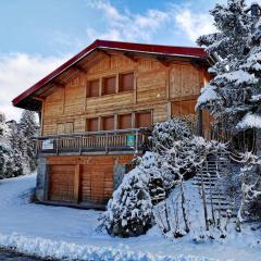 Chalet au calme avec sauna, proche des pistes, parking - FR-1-598-123