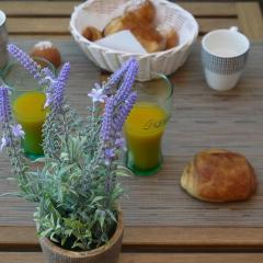 Le Patio Phocéen Sunset Terrace