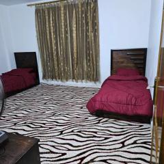 غصن الزيتون